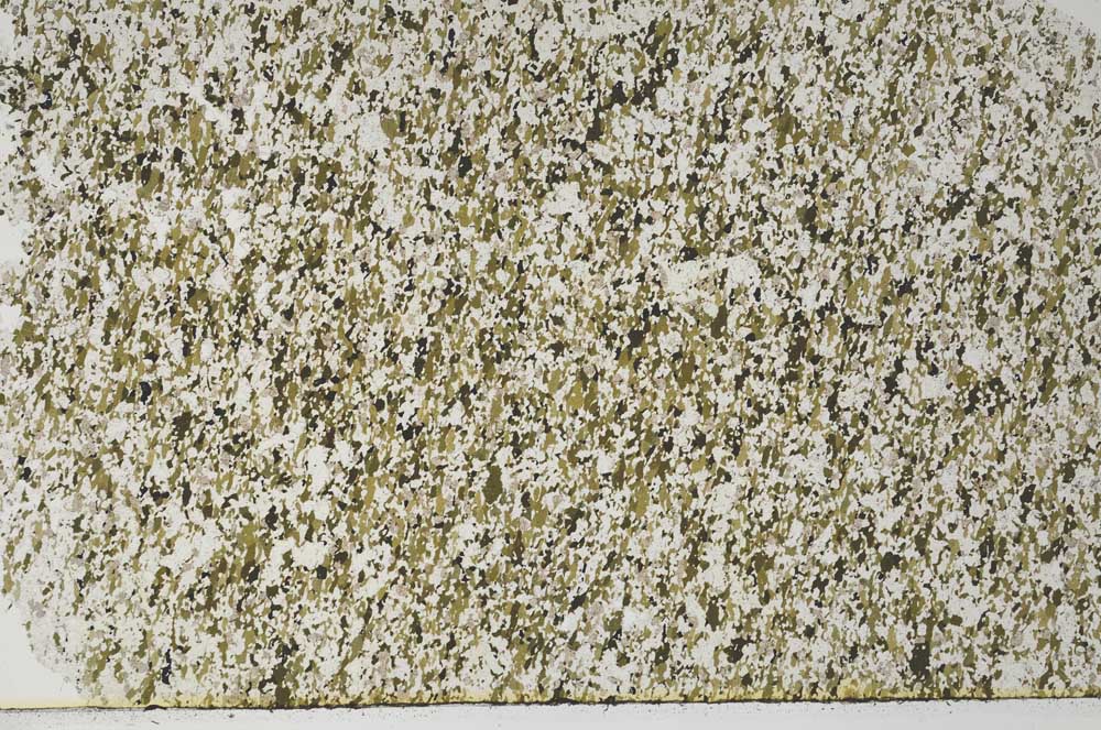 Plane Polarized, S62173