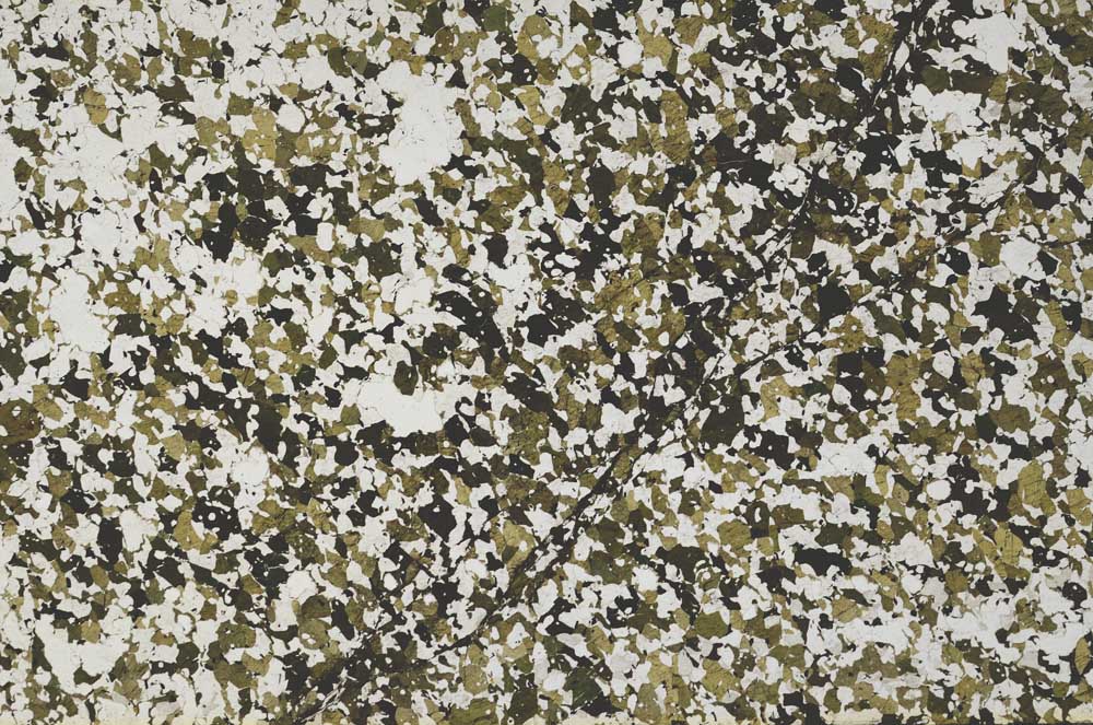 Plane Polarized, S62195