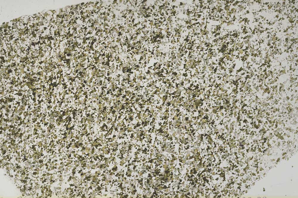 Plane Polarized, S62196