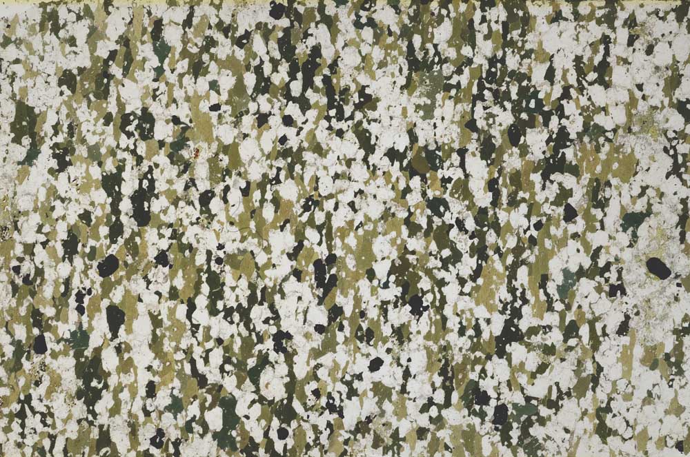 Plane Polarized, S62208