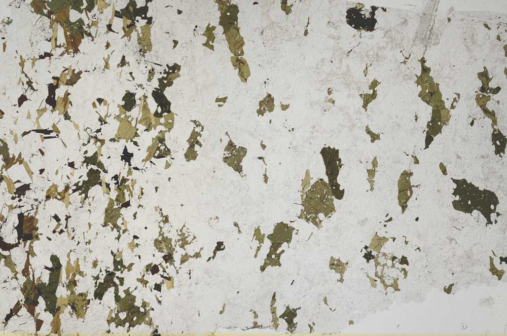 Plane Polarized, S62244