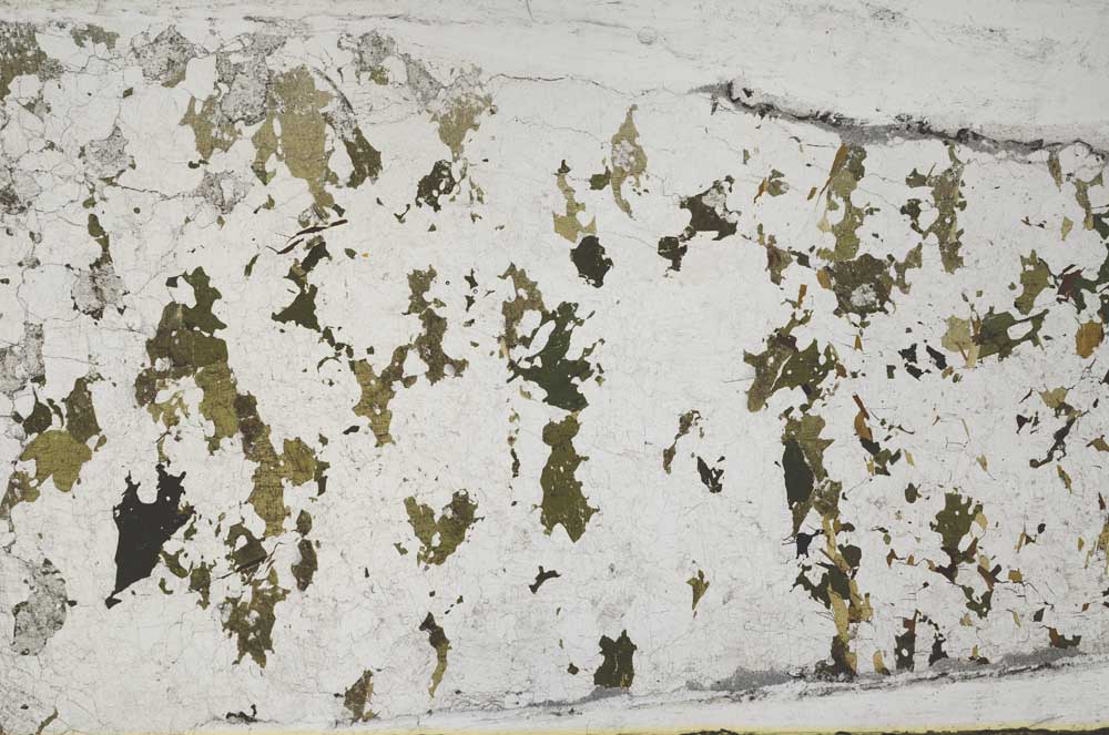 Plane Polarized, S62244/A