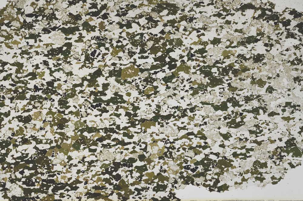 Plane Polarized, S62259