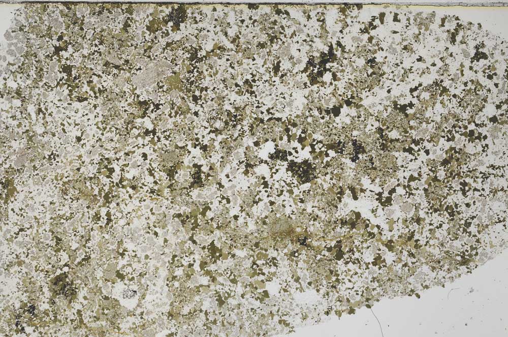 Plane Polarized, S62279