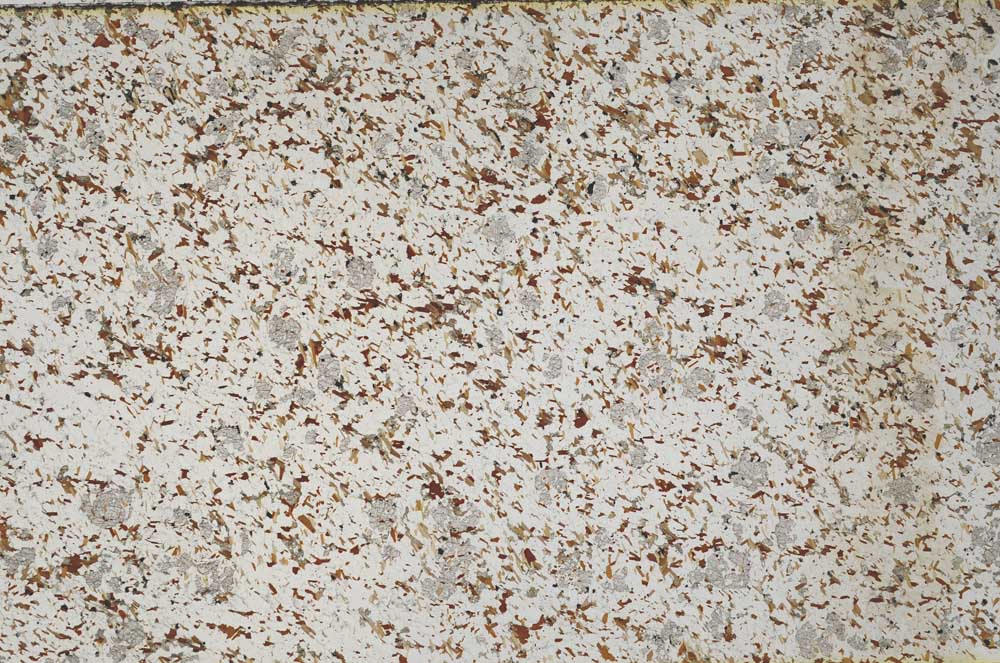 Plane Polarized, S62280