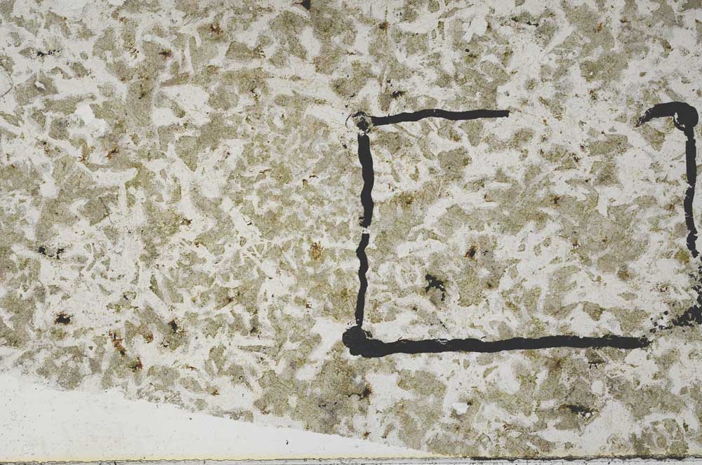 Plane Polarized, S62282