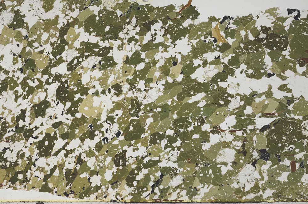 Plane Polarized, S62283