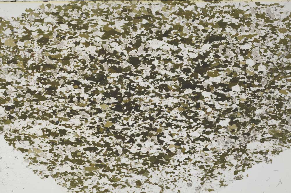 Plane Polarized, S62290