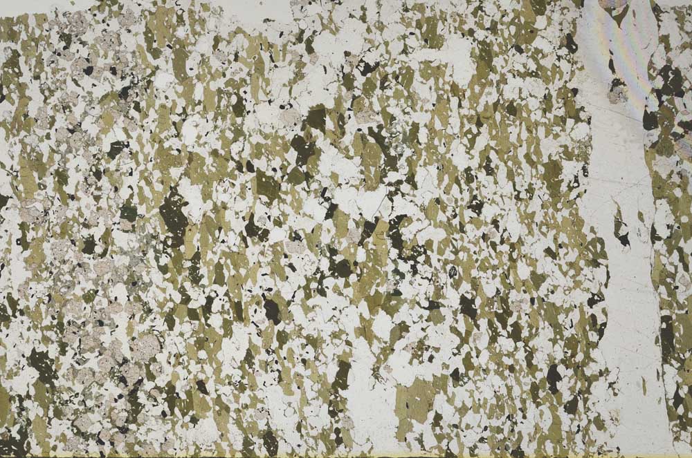 Plane Polarized, S62298