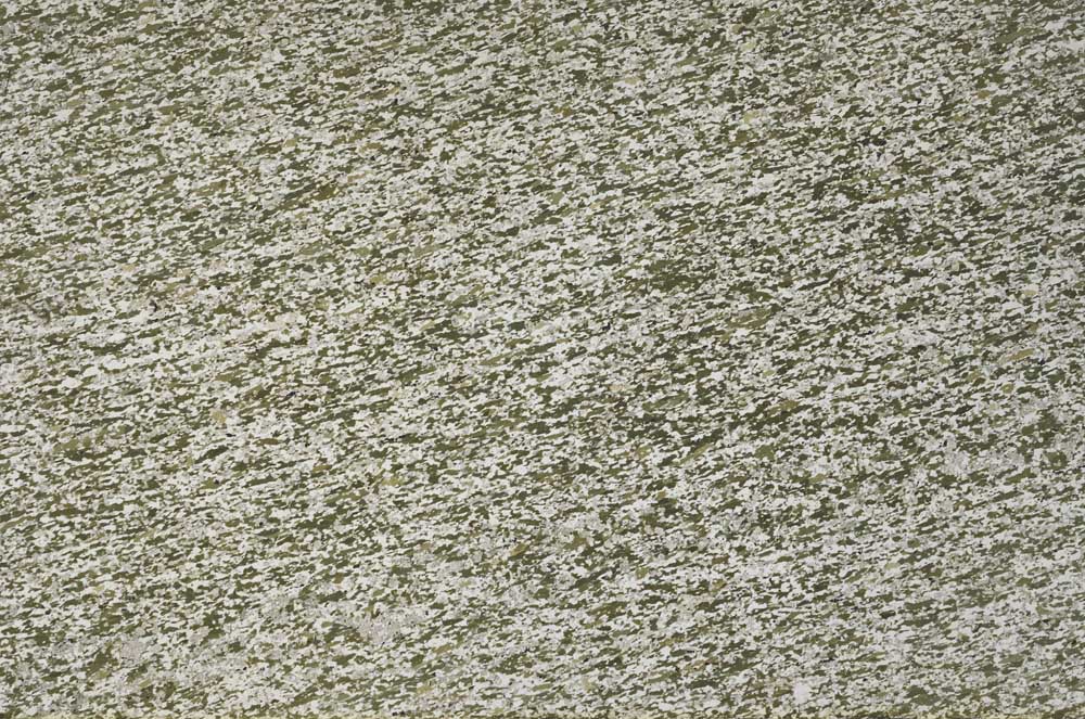 Plane Polarized, S62310