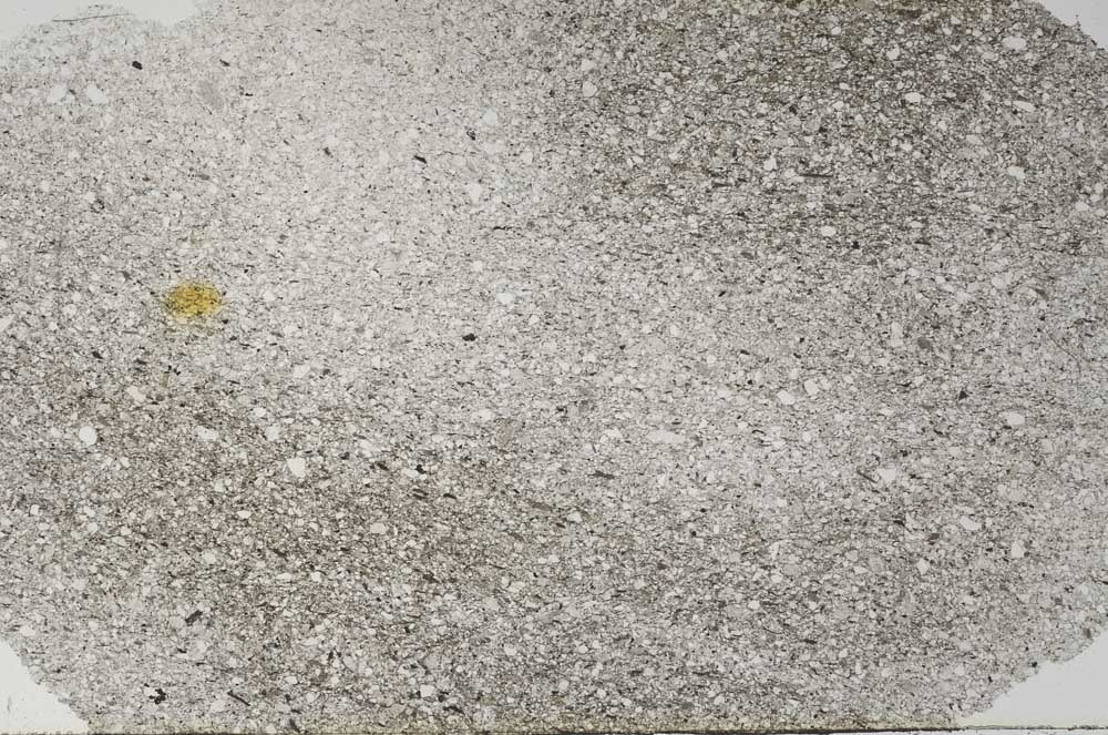 Plane Polarized, S62394