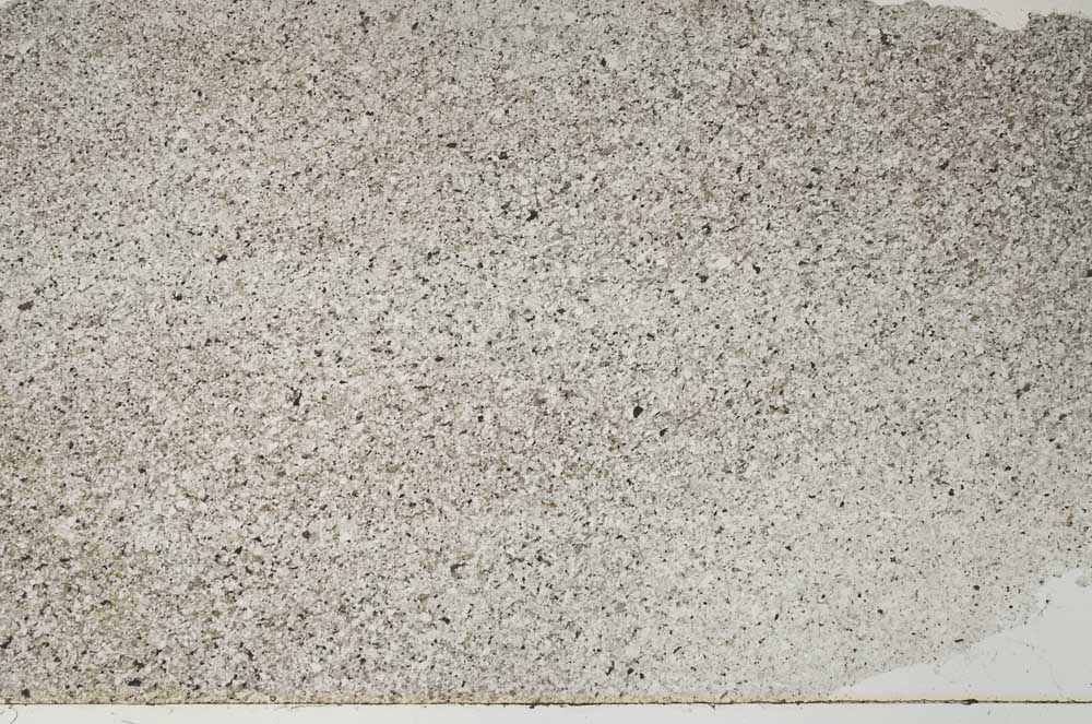 Plane Polarized, S62410