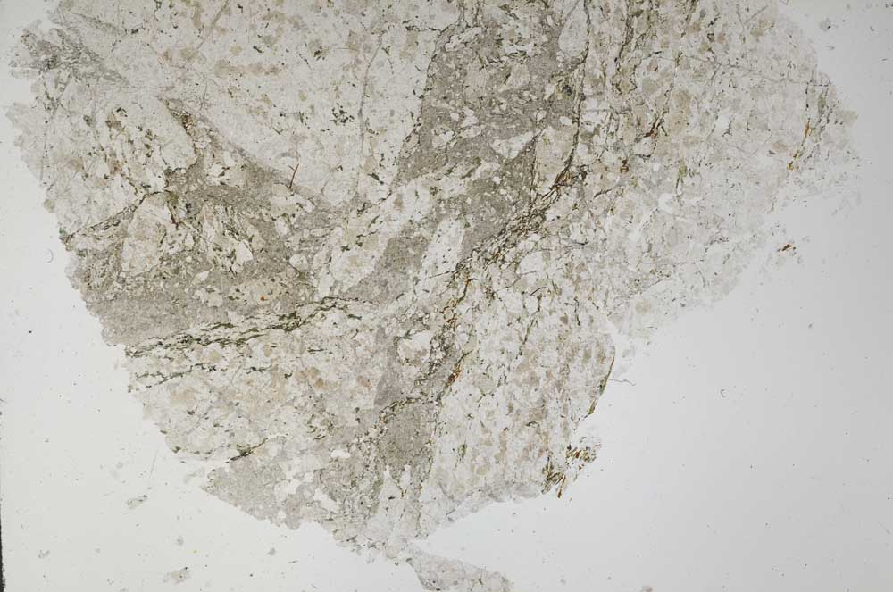 Plane Polarized, S62453