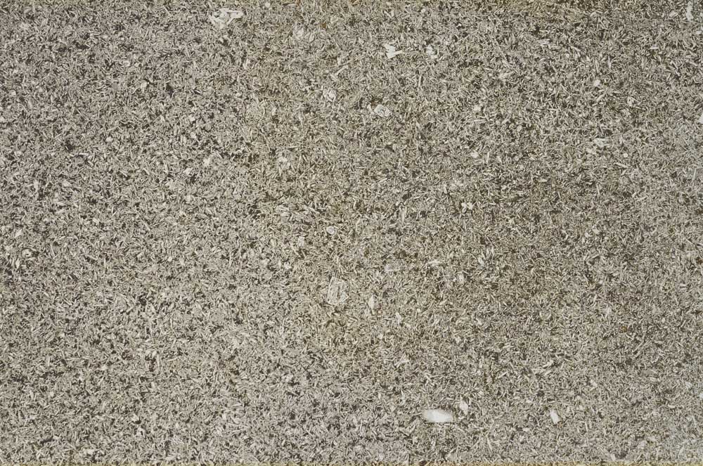 Plane Polarized, S62583