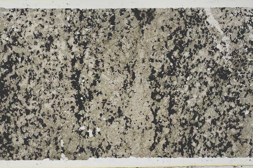 Plane Polarized, S62771