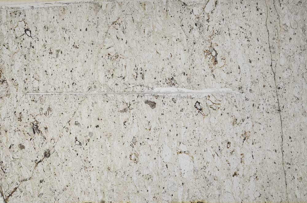 Plane Polarized, S62793