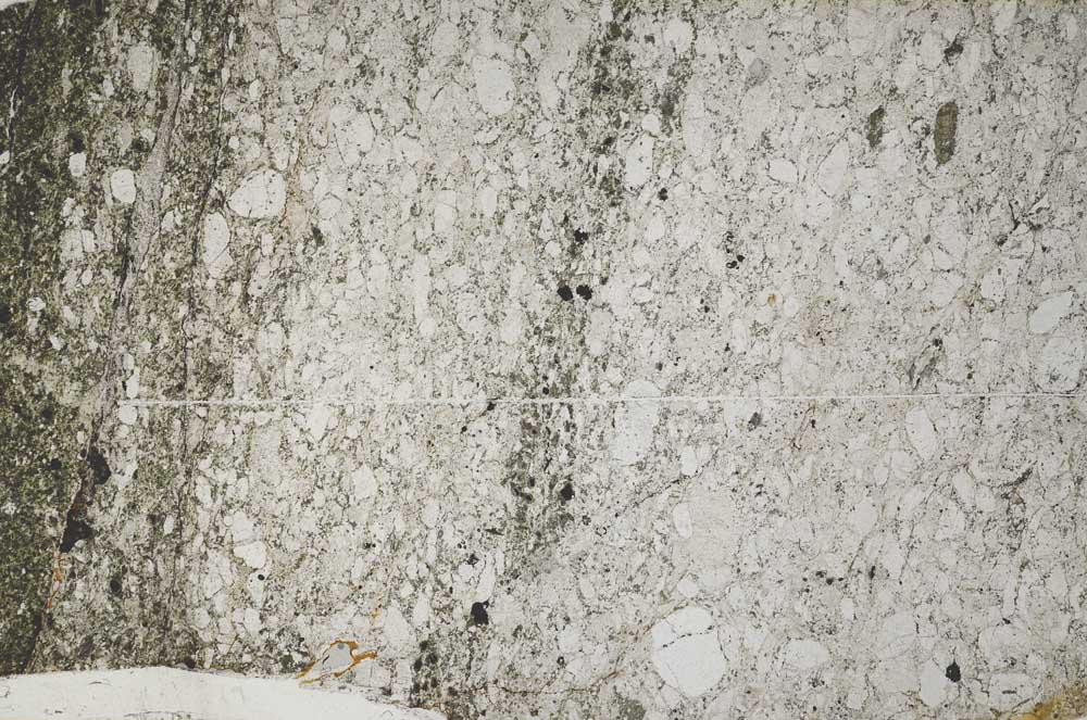 Plane Polarized, S62799