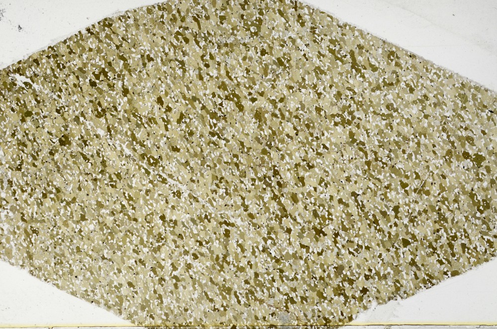 Plane Polarized, S62970