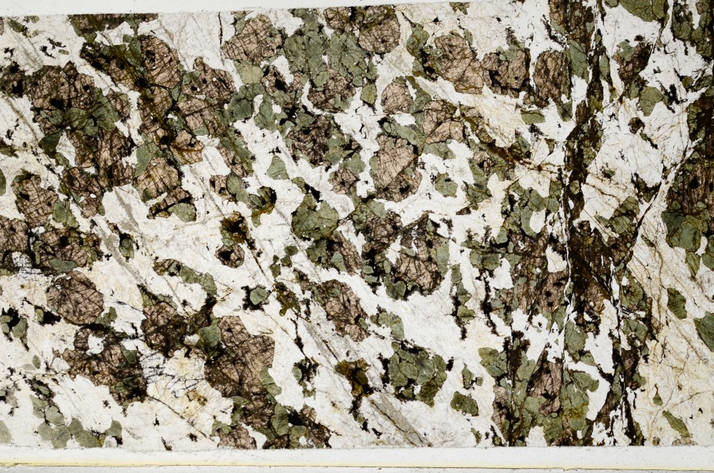 Plane Polarized, S62979