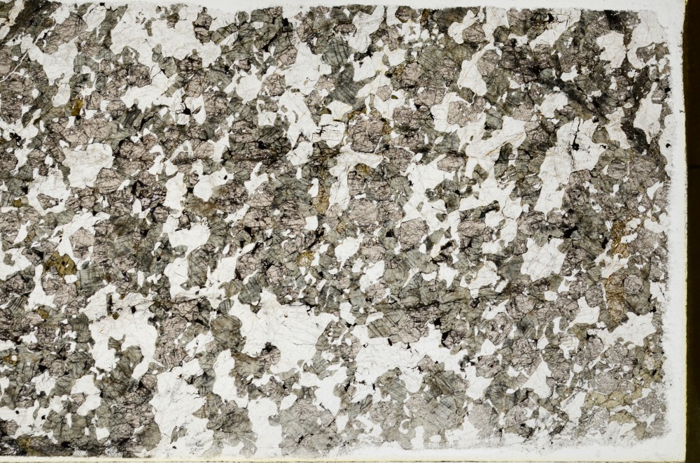 Plane Polarized, S62980