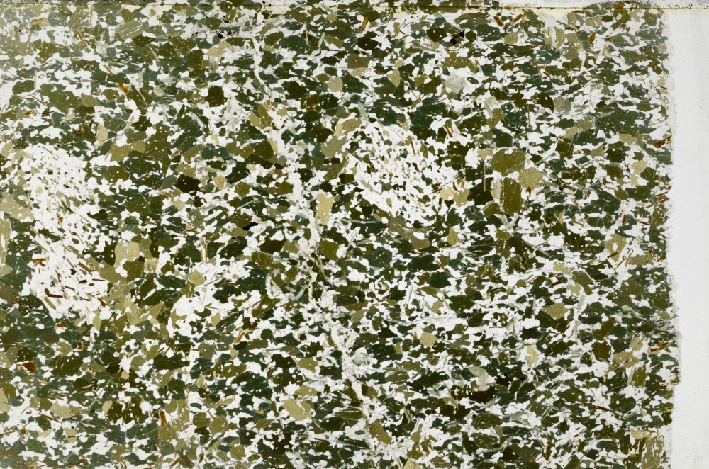Plane Polarized, S62987