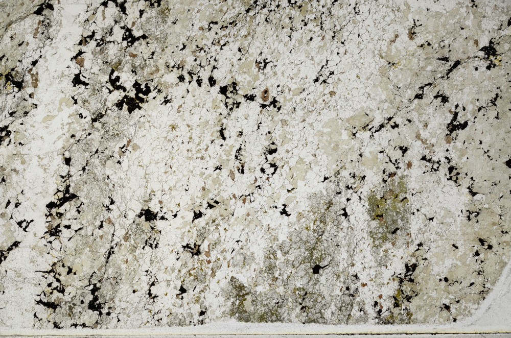 Plane Polarized, S63149