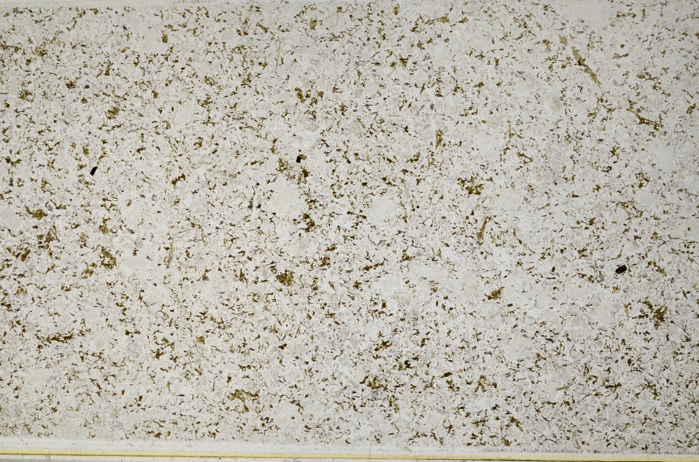 Plane Polarized, S63166