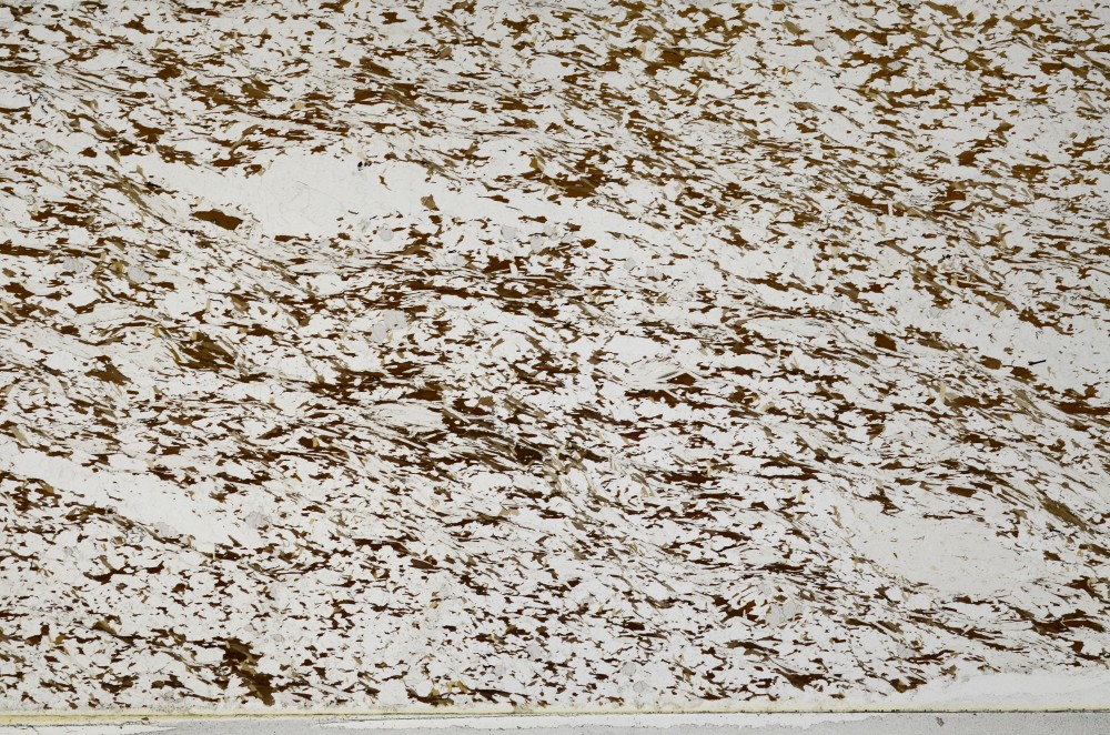 Plane Polarized, S63172