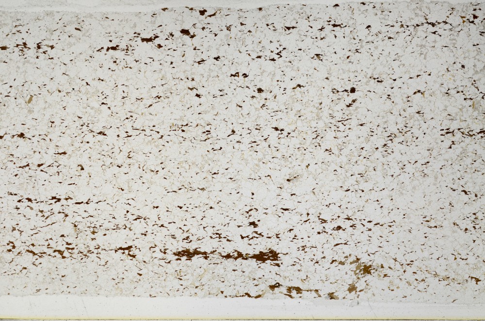 Plane Polarized, S63174