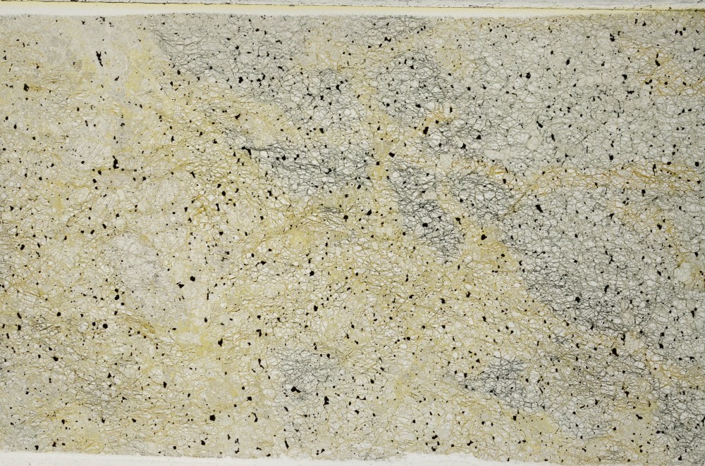 Plane Polarized, S63192