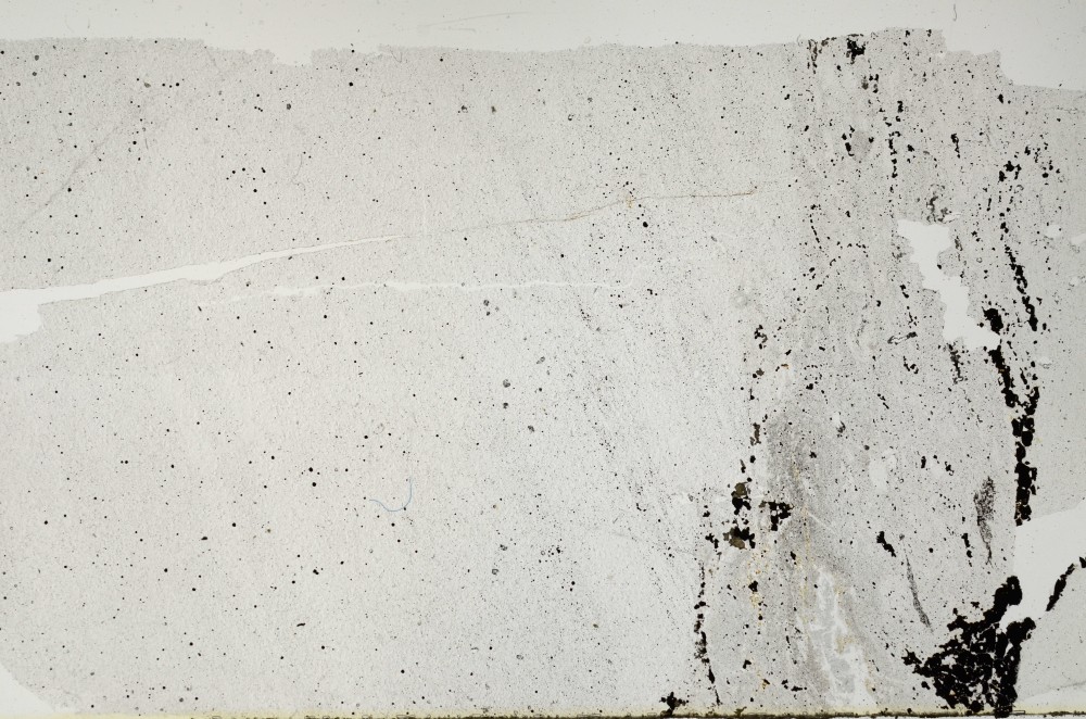 Plane Polarized, S63212