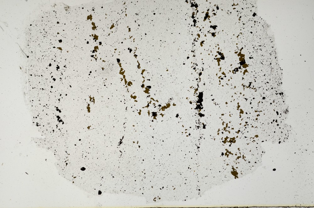 Plane Polarized, S63213