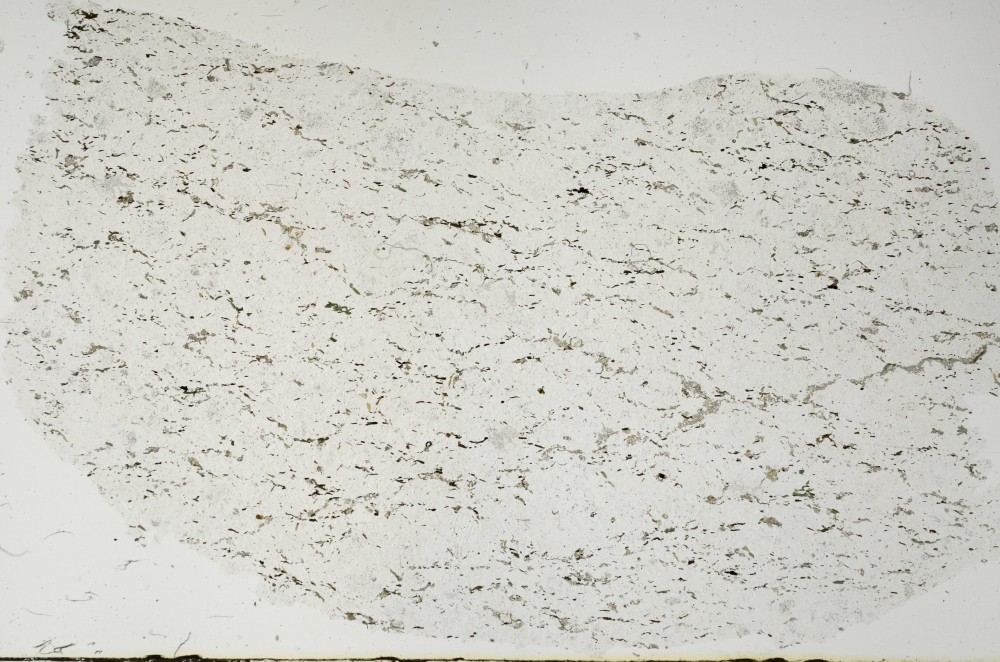Plane Polarized, S63311