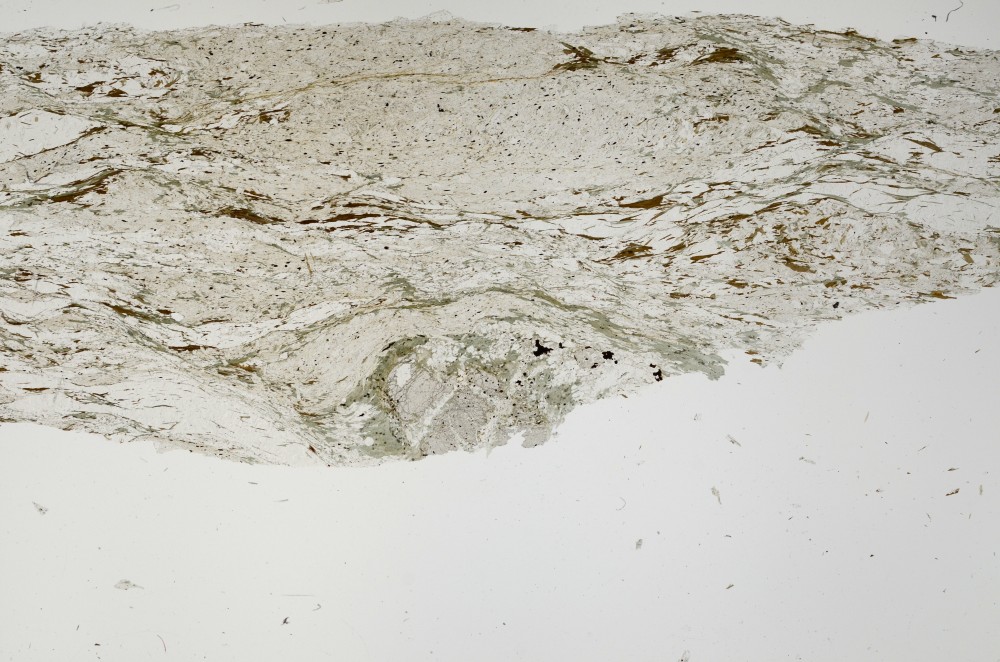 Plane Polarized, S63312