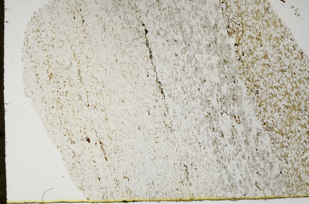 Plane Polarized, S63319