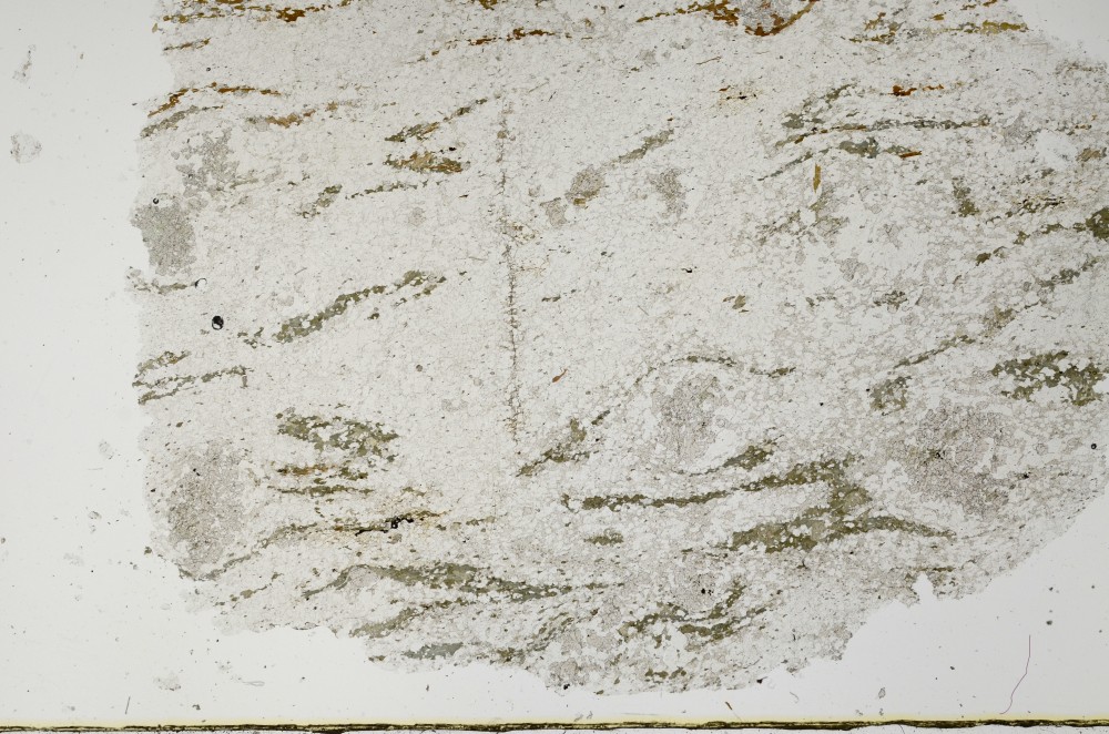 Plane Polarized, S63320