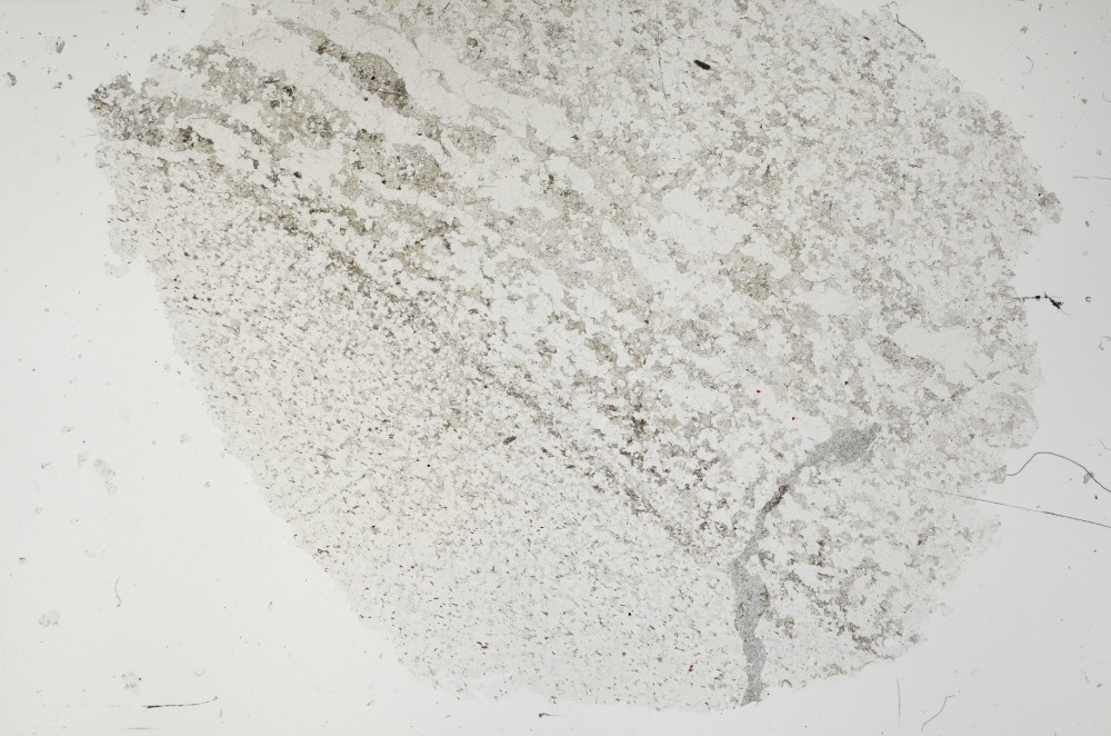 Plane Polarized, S63323