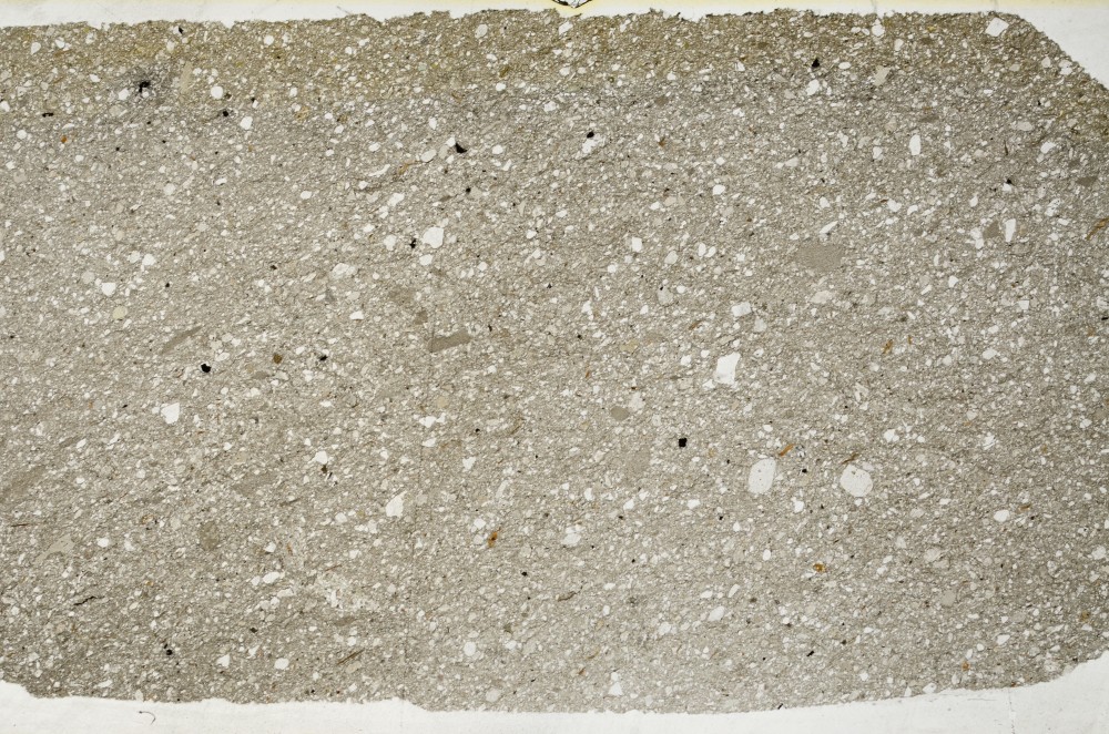 Plane Polarized, S63332