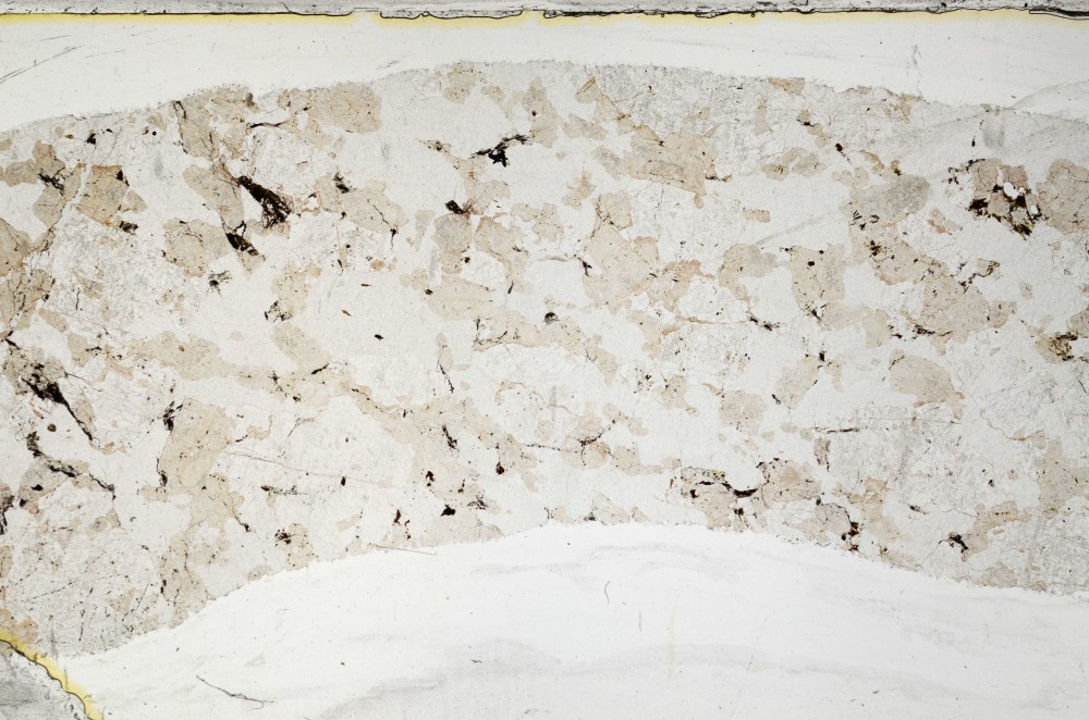 Plane Polarized, S63338