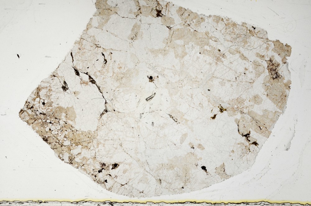 Plane Polarized, S63341