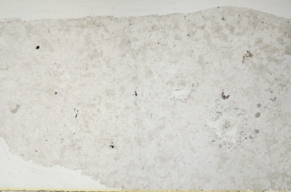 Plane Polarized, S63342