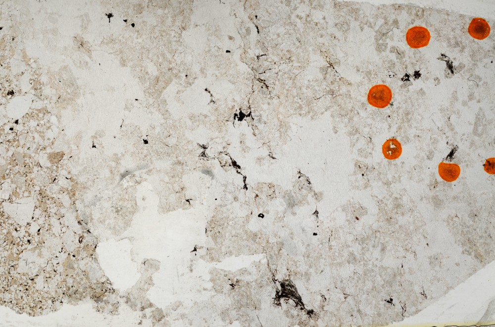 Plane Polarized, S63343