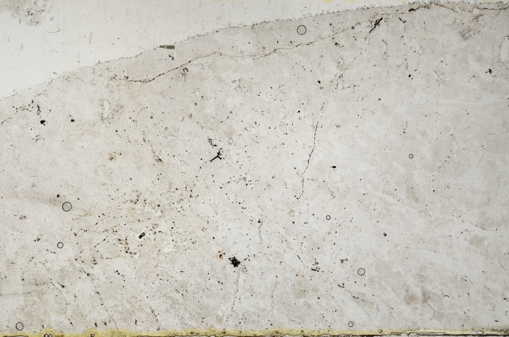 Plane Polarized, S63346