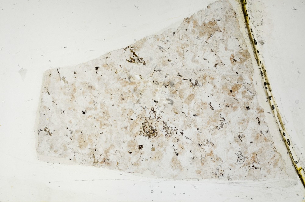 Plane Polarized, S63347