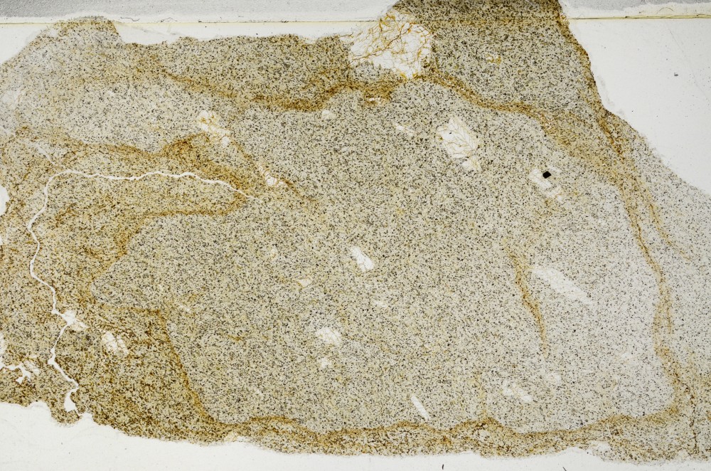 Plane Polarized, S63367