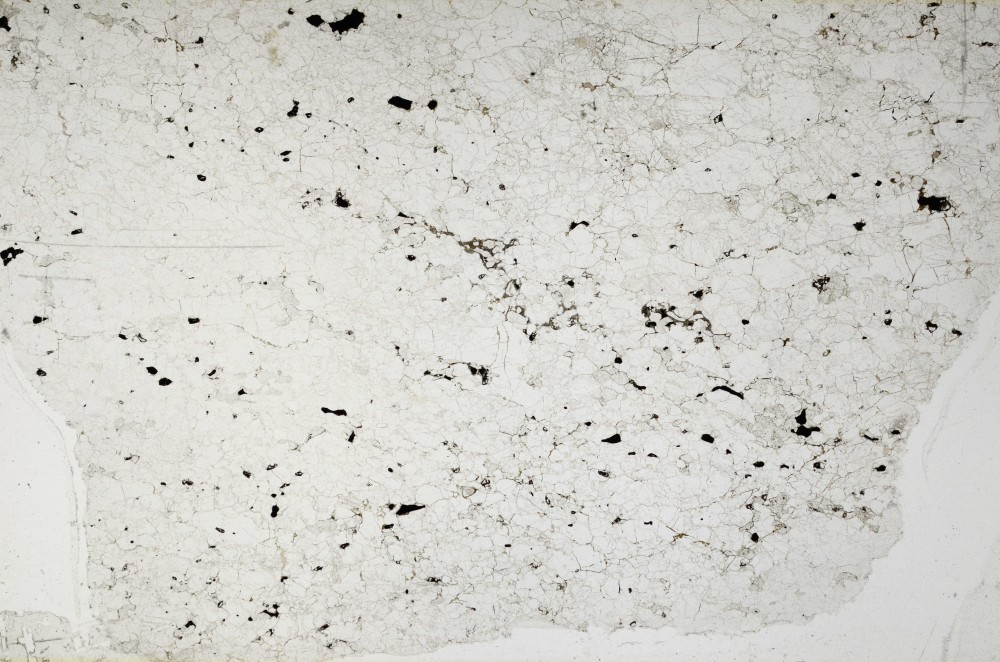 Plane Polarized, S63412