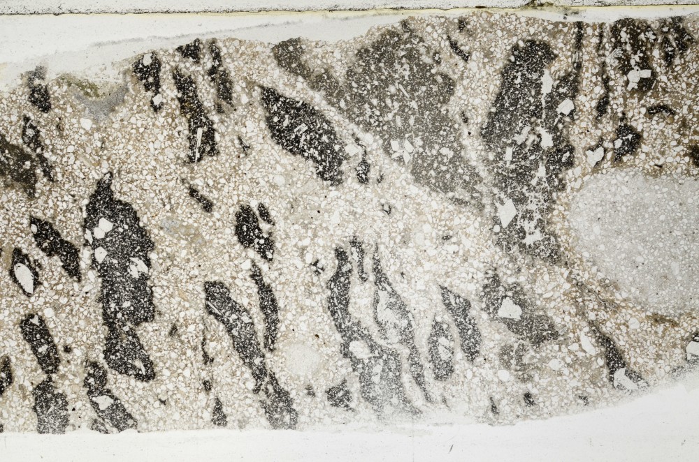 Plane Polarized, S63413