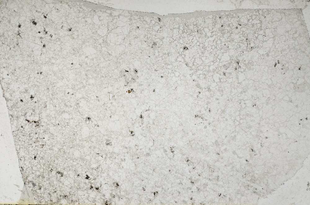 Plane Polarized, S63416