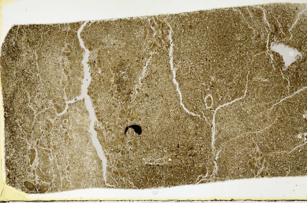 Plane Polarized, S63466