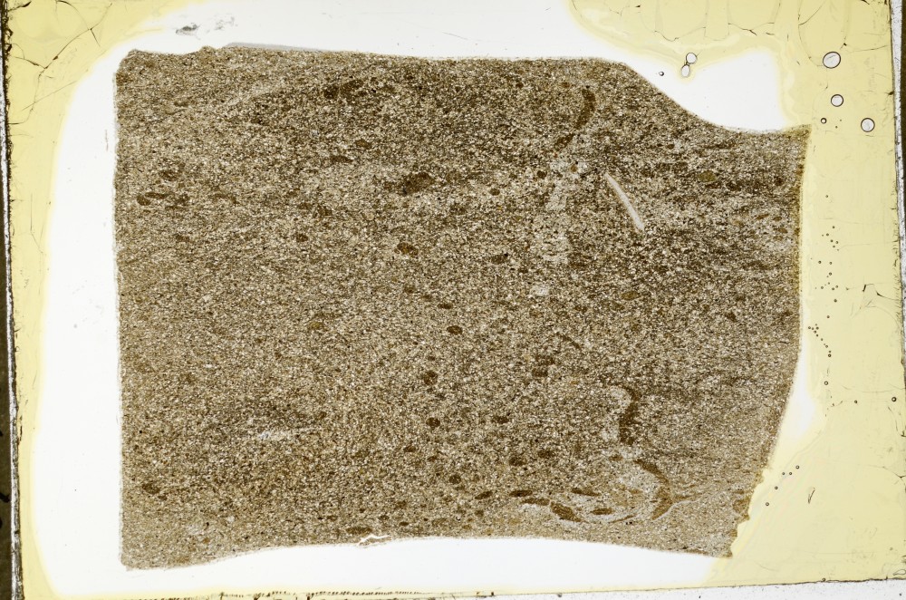 Plane Polarized, S63468